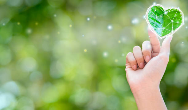 istock Hands holding green heart shaped tree, planting trees, loving the environment, protecting nature Nourishing the plants World Environment Day To help the world look beautiful, Forest conservation conce. 1319169478