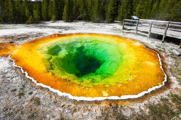 istock Geysers and Hot Springs at Yellowstone 1319170527