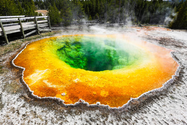 istock Geysers and Hot Springs at Yellowstone 1319170544