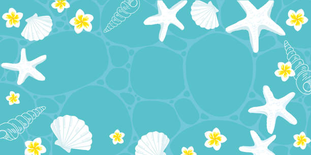 Shell Hawaii イラスト素材 Hawaii Rainbow Istock Shell Hawaii イラスト素材 Hawaii Rainbow Istock