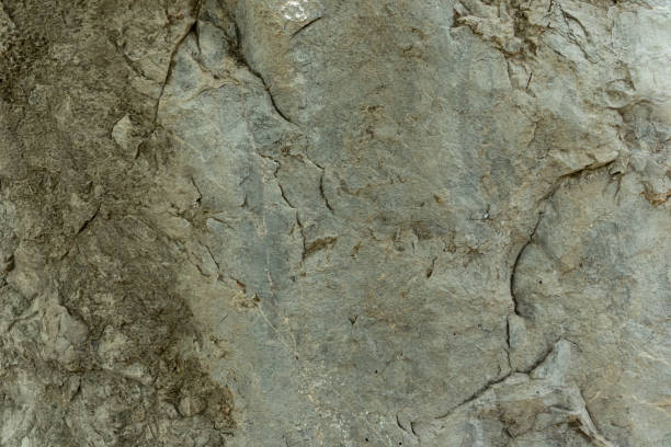 istock The wall surface of the cliff 1319173778