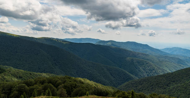 istock Wild Carpathian mountains in Romania covered by deep forest with few meadows 1319174982