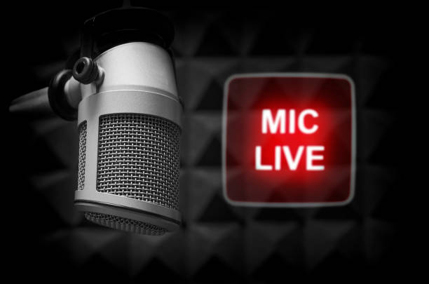 istock Professional microphone and on air sign 1319175033