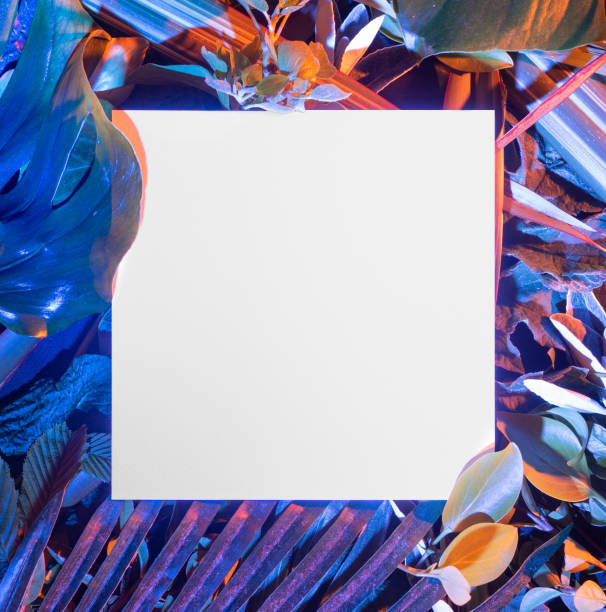 istock Cyber punk jungle concept background. White square framed creative copy space. Natural, fresh, green, different sort and shapes mix of tropical plant leaves at flat lay arrangement. 1319176012