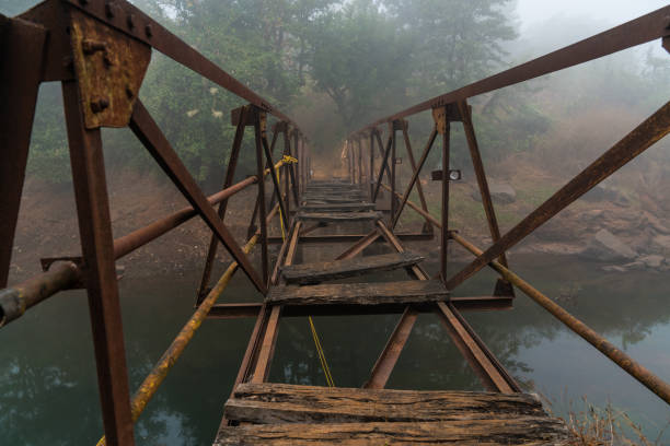 A few wooden planks placed apart to cross a bridge over the river leading into a forest
