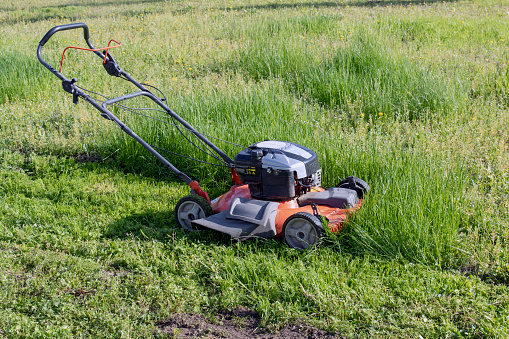 A lawn mower on a lush green lawn surrounded by flowers. Back yard of the house.