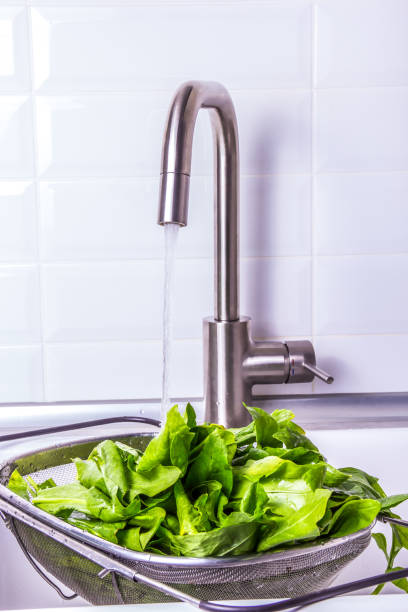 Lettuce leaves in the sink. Green lettuce under running water stock photo