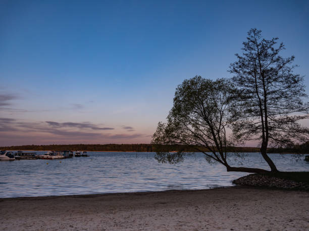 Müritz Lake in the evening on the Mecklenburg Lake District Müritz Lake in the evening on the Mecklenburg Lake District mecklenburg lake district photos stock pictures, royalty-free photos & images