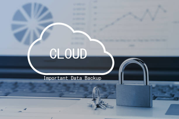 istock Making use of cloud system images, cloud pictorgram and padlock 1319183680