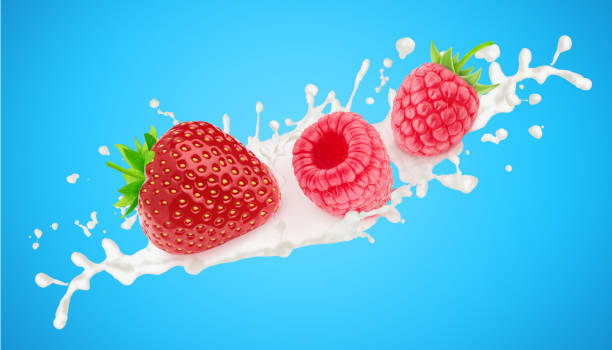Strawberry and raspberry in milk splashes isolated on a blue background.