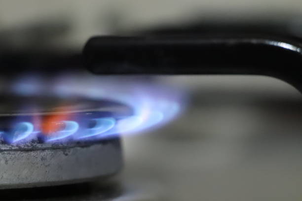 istock Natural gas cooker 1319185987