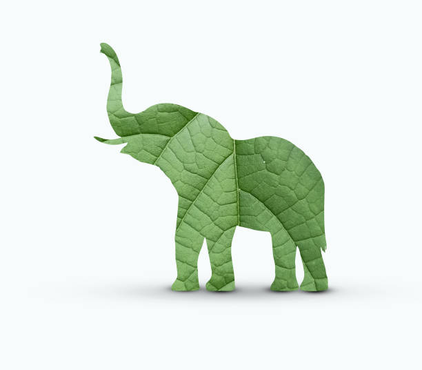 istock Green Elephant Concept. Tree or forest shape of elephant isolated on white background. 1319187167