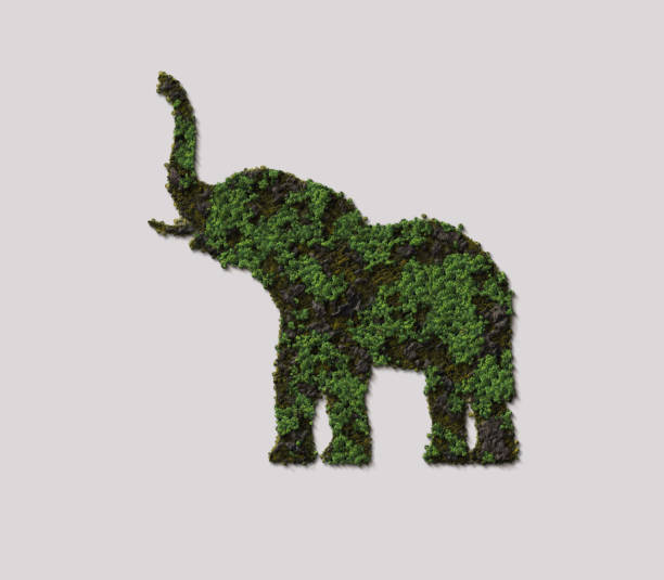 istock Green Elephant Concept. Tree or forest shape of elephant isolated on white background. 1319187170