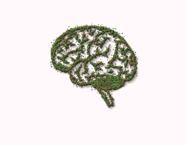istock The human brain is covered with green forest. Think Green Concept. 1319187182