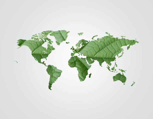 istock World Map Concept. Leaf shape of world map isolated on white background. 1319187196