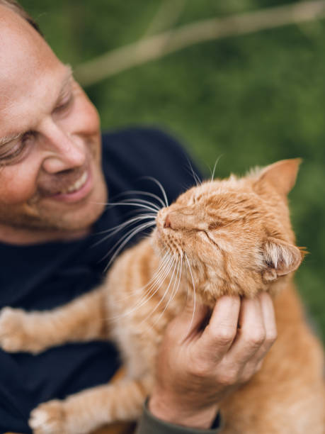 istock Real man outdoors with his cat in summer 1319187210