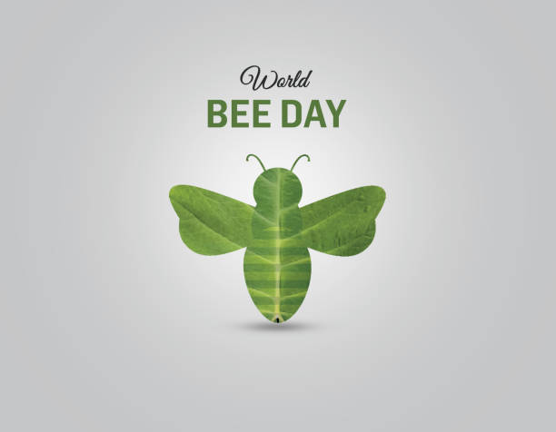 istock World Bee Day concept. Bumblebee isolated on a green leaf. 1319187223