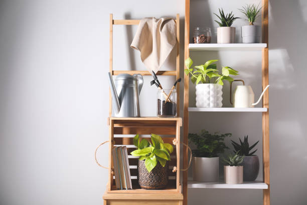 istock Beautiful houseplants and gardening tools near white wall. Space for text 1319187239