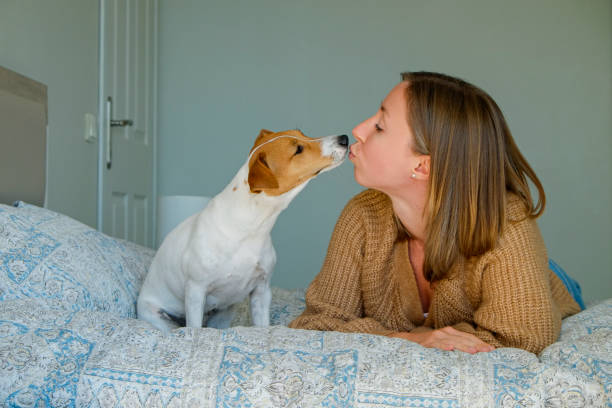 istock Woman at home with a dog 1319187275