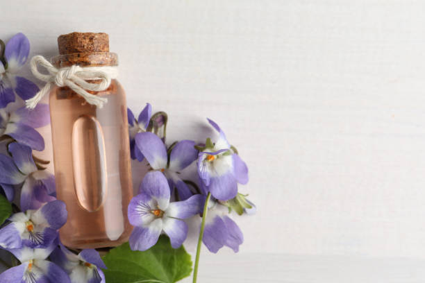 istock Beautiful wild violets, essential oil and space for text on white wooden table, flat lay. Spring flowers 1319187355