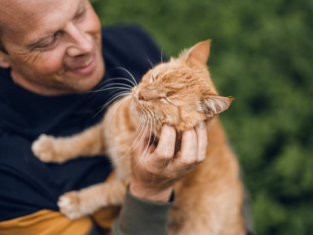 istock Real man outdoors with his cat in summer 1319187618