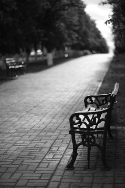 Wooden bench with forging handles in a spring alley. BW photo Wooden bench with forging handles in a spring alley. BW photo. black and white bench stock pictures, royalty-free photos & images