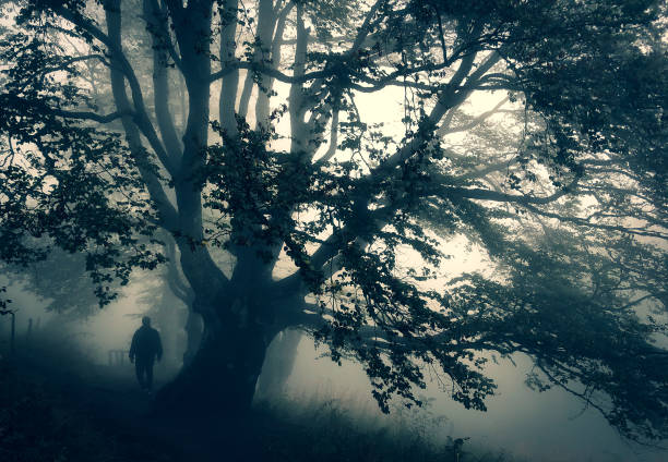 A man is walking through a very mysterious forest with a very old big tree in the dark.
