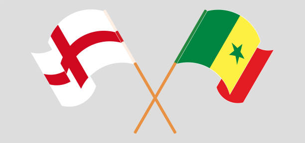 영국과 세네갈의 교차하고 흔들리는 깃발 - england senegal stock illustrations