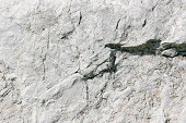 Close-up detailed photo of a light gray stone background