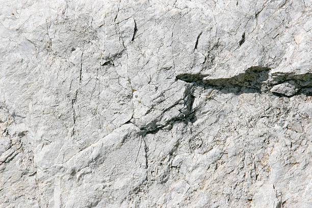 Photo of Close-up detailed photo of a light gray stone background