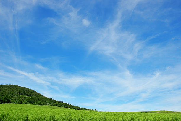 istock Green hill and blue sky 131919584