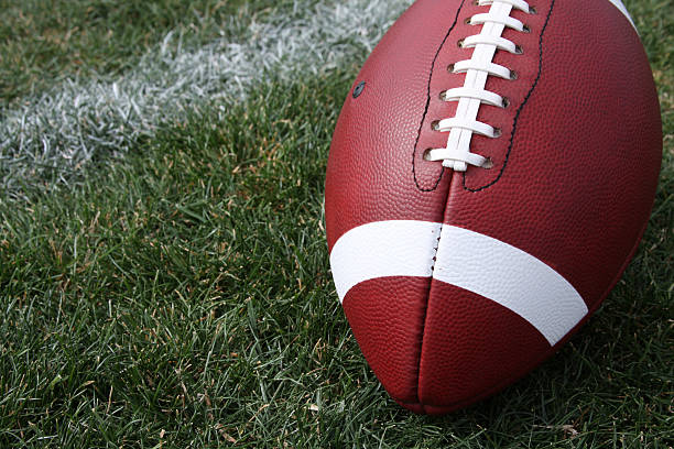 istock Football on the Grass 131919670