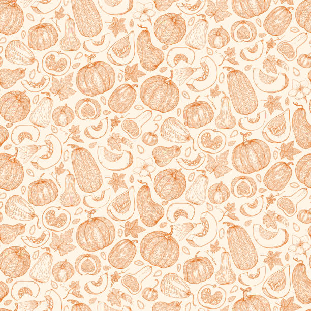 Vector botanical seamless pattern with pumpkins, flowers and leaves in sketch style. Flat pastel background of pumpkins, squash and seeds. Cute autumn texture for thanksgiving, harvest and halloween. Vector botanical seamless pattern with pumpkins, flowers and leaves in sketch style. Flat pastel background of pumpkins, squash and seeds. Cute autumn texture for thanksgiving, harvest and halloween. thanksgiving holiday backgrounds stock illustrations