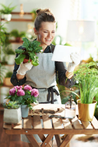 istock woman at home in sunny day using tablet PC and using video chat 1319198677