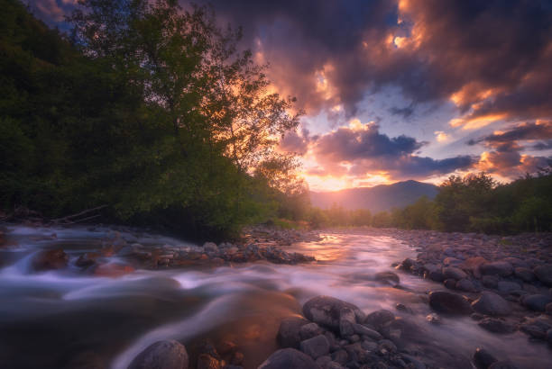 istock Beautiful sunny summer landscape. Fast flowing mountain river 1319200345