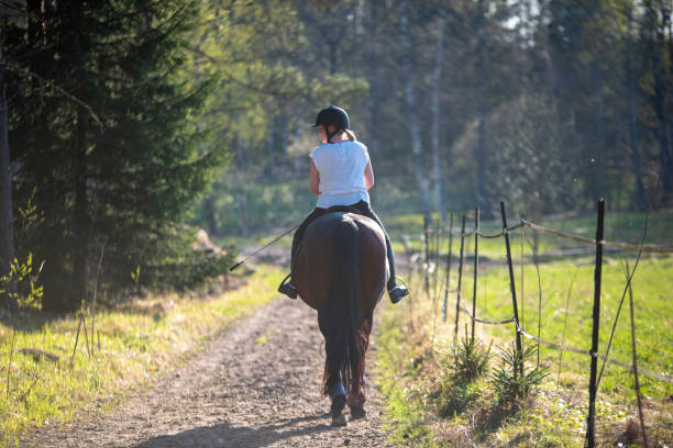 istock Woman horseback riding in forest 1319201731