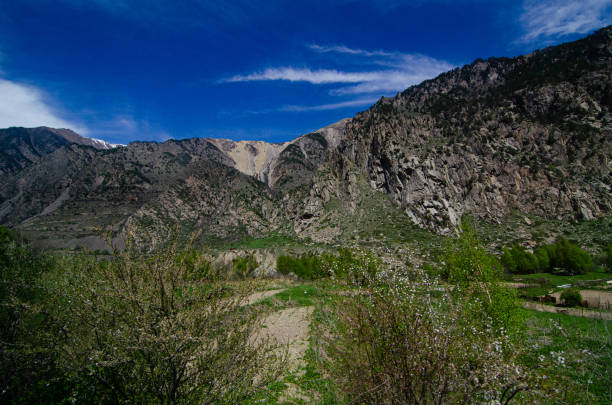 istock Panorama of a beautiful mountain landscape 1319203342