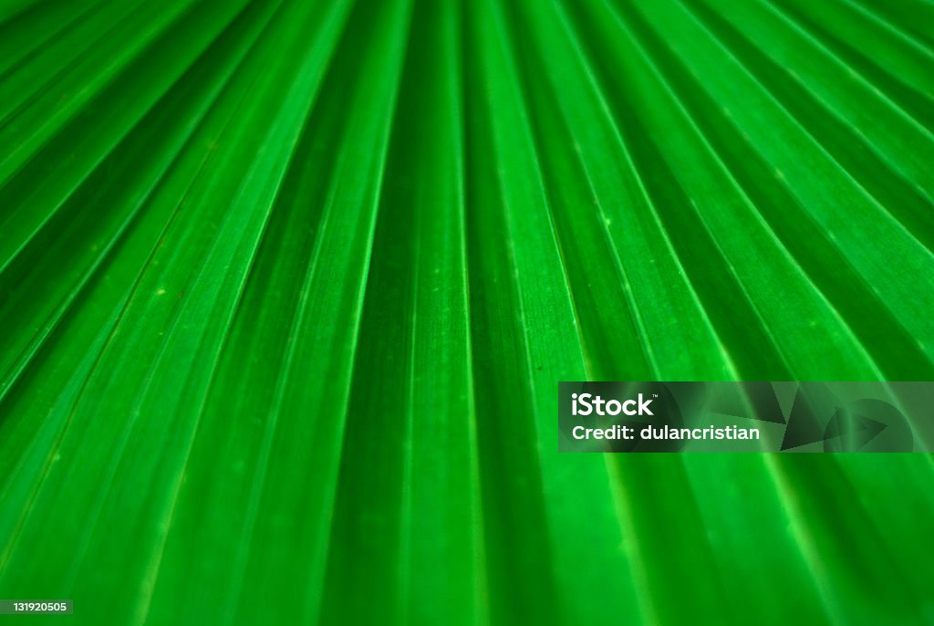 녹색 잎 - 로열티 프리 기술 스톡 사진