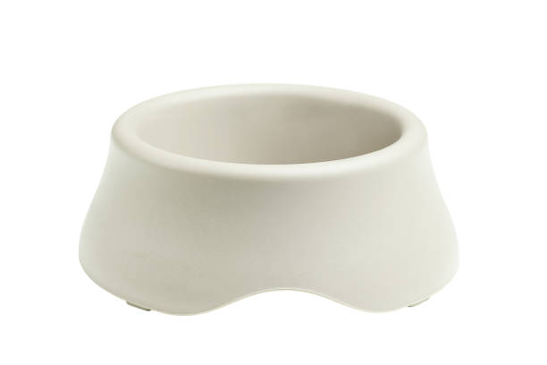 istock Pet food bowl 1319209382