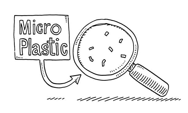 1,500+ Microplastics Stock Illustrations, Royalty-Free Vector Graphics ...