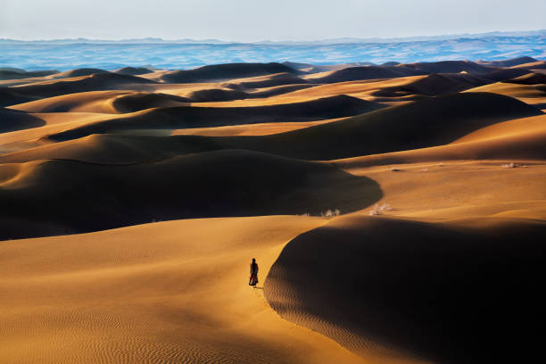 de woestijn van maranjab, kashan, iran. - nouri stockfoto's en -beelden