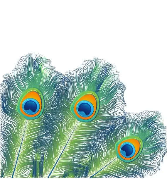 Vector illustration of Peacock green and blue plumage background. Vector  illustration