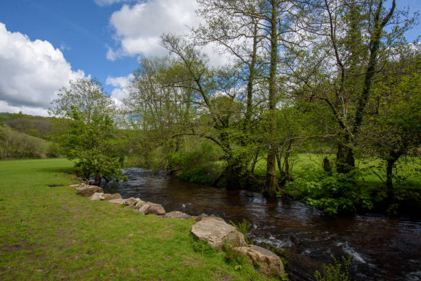 istock East Dartmoor Nature Reserve 1319213176