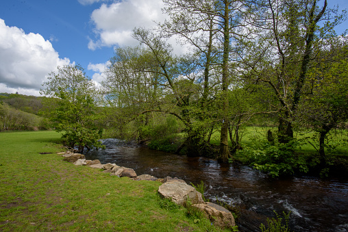 East Dartmoor Nature Reserve\nHisley Woods\nBovey River\nDartmoor\nDevon