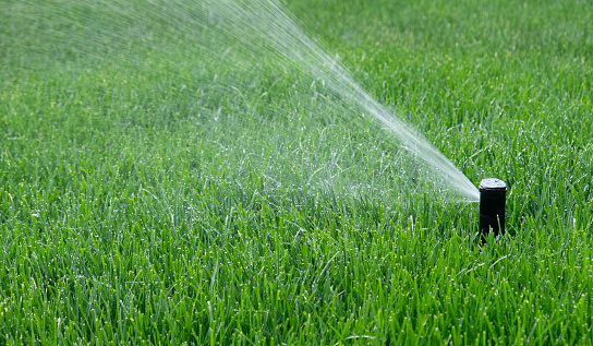 Sprinklers automatic watering grass on a hot summer day. Savings of water from sprinkler irrigation system with adjustable head. Automatic equipment for irrigation and maintenance of lawns, gardening.