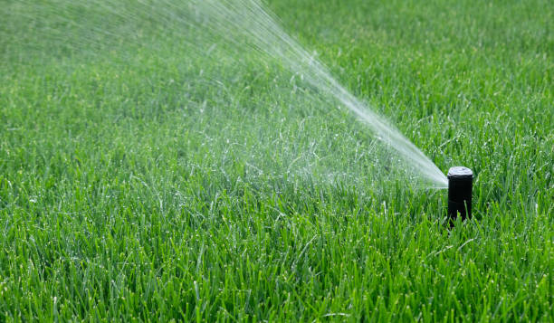 Sprinklers automatic watering grass on a hot summer day. Savings of water from sprinkler irrigation system with adjustable head. Automatic equipment for irrigation and maintenance of lawns, gardening. Sprinklers automatic watering grass on a hot summer day. Savings of water from sprinkler irrigation system with adjustable head. Automatic equipment for irrigation and maintenance of lawns, gardening. agricultural sprinkler stock pictures, royalty-free photos & images