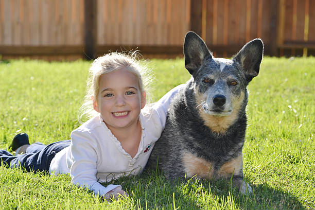 Buddies girl with her dog australian cattle dog stock pictures, royalty-free photos & images