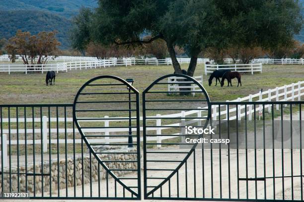 Coração Cavalo Gate - Fotografias de stock e mais imagens de Símbolo do Coração - Símbolo do Coração, Cavalo - Família do Cavalo, Portão