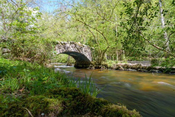 east dartmoor nature reserve - dartmoor imagens e fotografias de stock