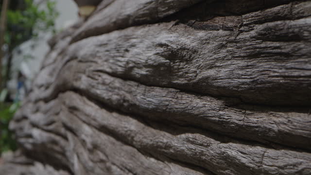 Wood texture dolly shot
